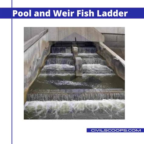 What is a Fish Ladder: Understanding Fi.